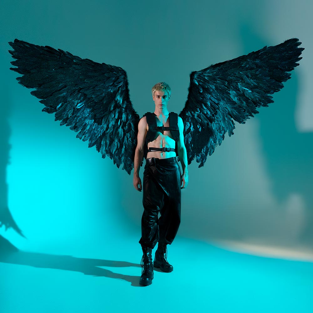dark angel costume plus size