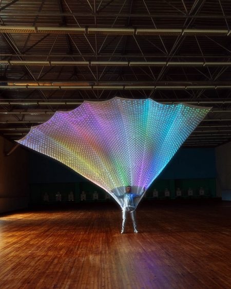 3150 LED Peacock Fan Tail Smart Costume, 5 meters high_O37-L - by ...