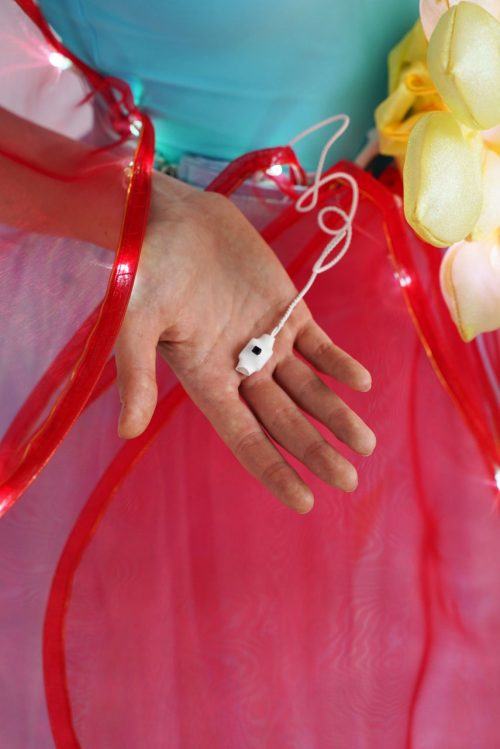 Control Button of a Small LED Flower Costume