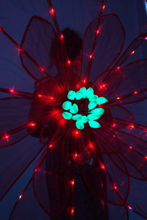 Red Flower Costume with 200 LEDs Back Placement in dim light