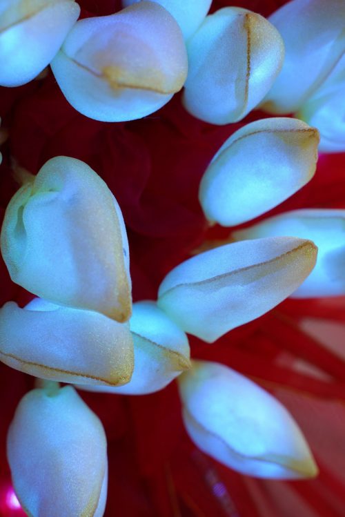 Red Flower Costume with 200 LEDs closeup