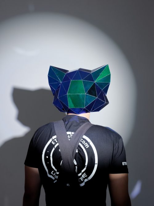 Cat Helmet Back View