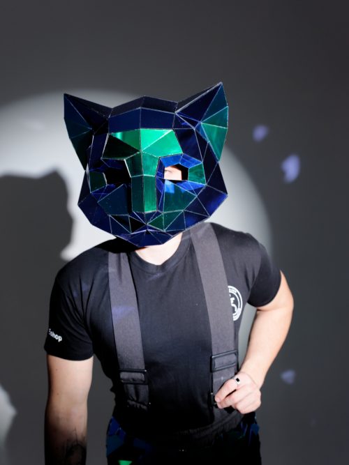 Fullhead 3D Mask of a Cat