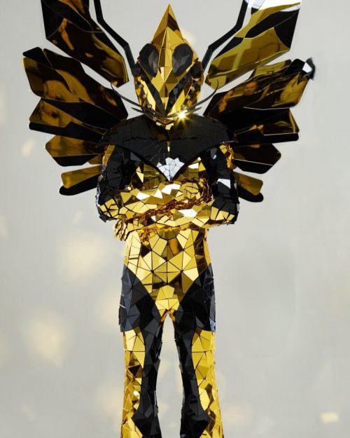 Gold and Black Mirror Dragonfly Costume