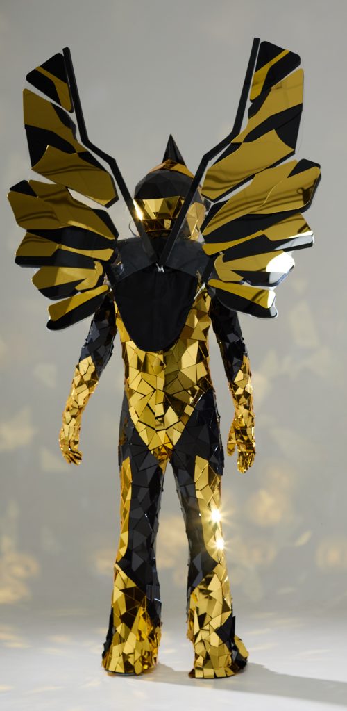 Mirror Carnival Costume of a Dragonfly Mask Singer